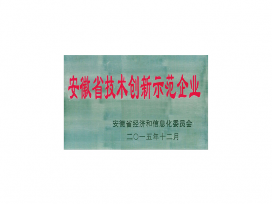 安徽省技術(shù)創(chuàng)新示范企業(yè)